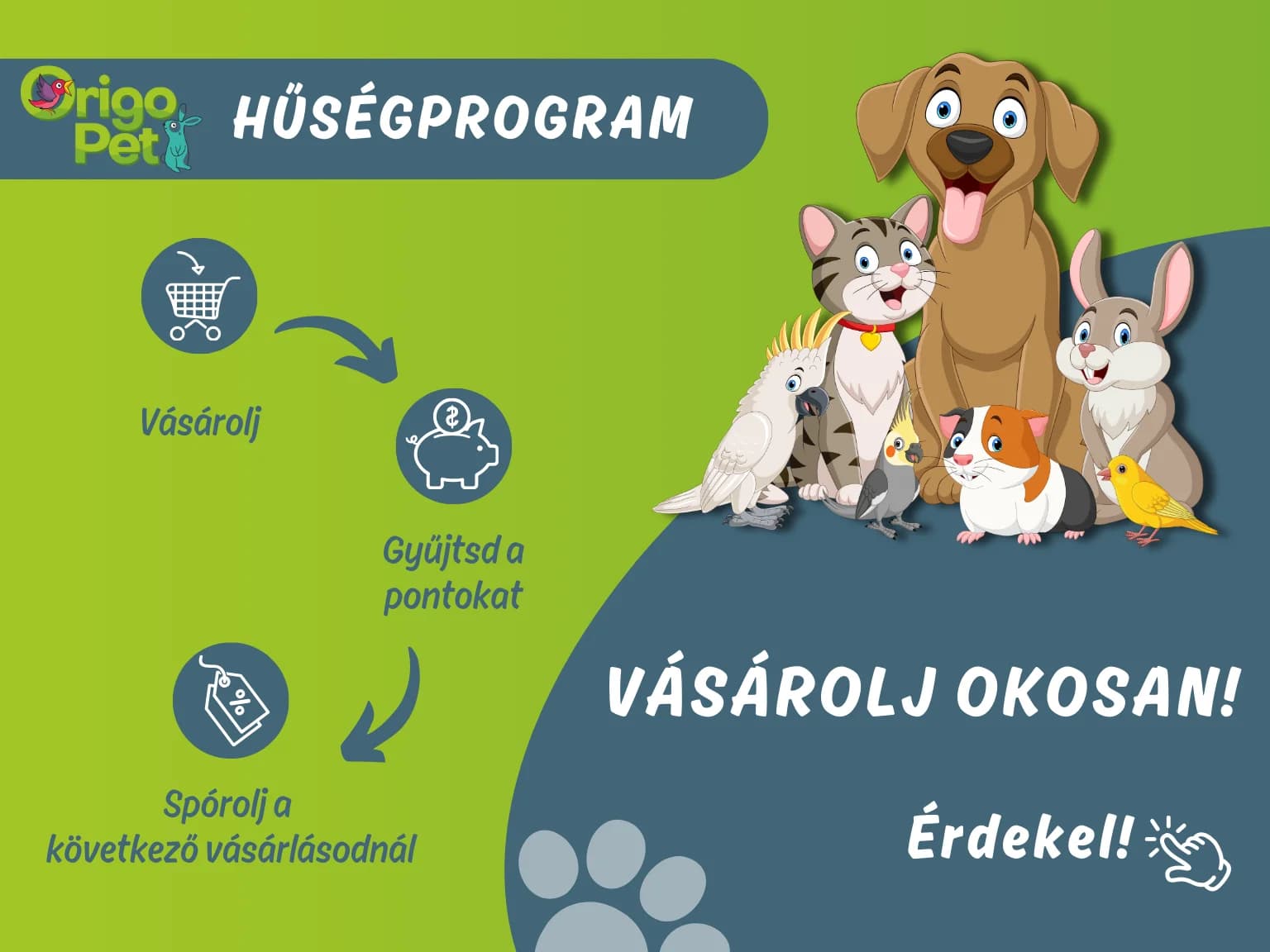 Általános webáruház banner 2