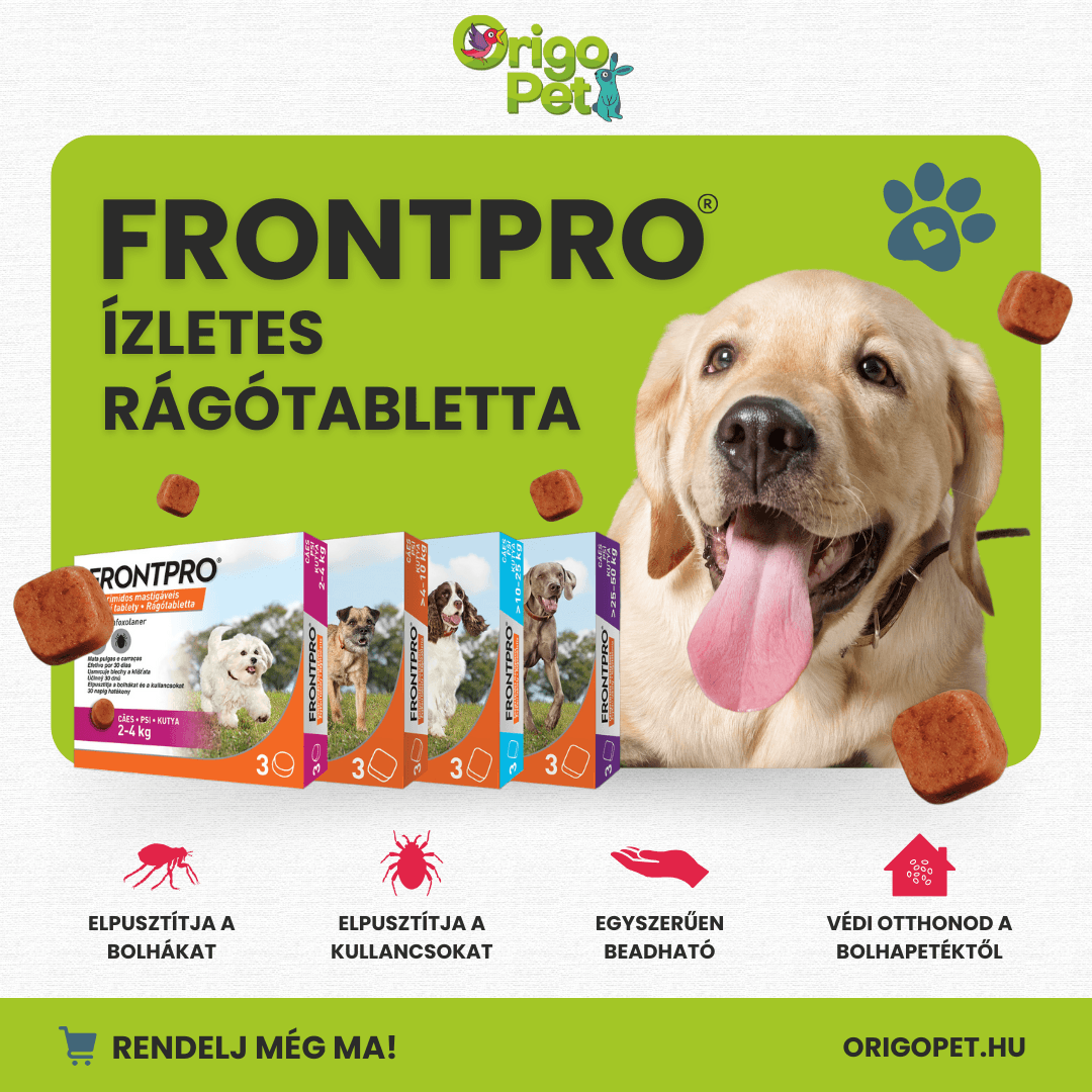 Frontpro poszt